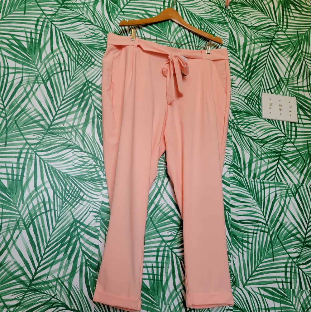 Size 2 Pink Torrid Pant
